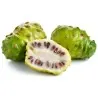 Graines de Noni, Nono, Mûrier indien
