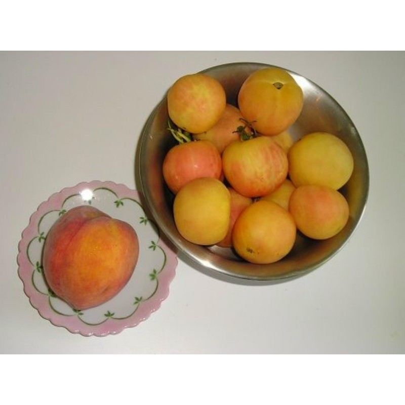 Graines de tomate Pêche