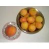 Graines de tomate Pêche