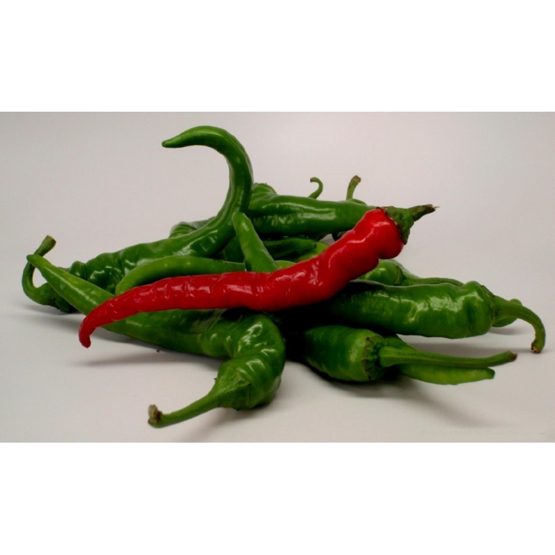 Price: €1.85 - Sementes de Pimenta Cayenne Long Slim - Cayenne longo e fino - Unbranded