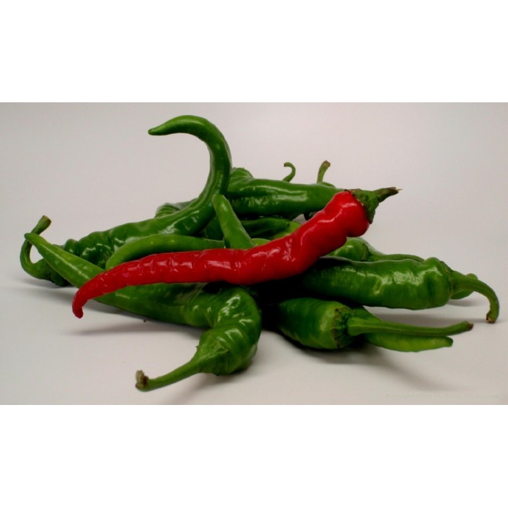Chili Cayenne Long Slim Seeds - 216.985714