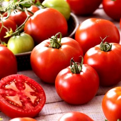 Tomatfrön Saint Pierre 1.5 - 3