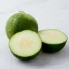 Melongurka frön Carosello Barattiere