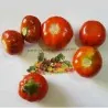 Semillas be Berenjena Turco, Berenjena Etíope (Solanum aethiopicum)