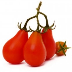 Price: €1.55 - Röd Päron Tomat frön - Seeds Gallery