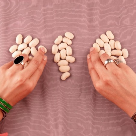 Tetovac big white Bean Seeds | 1.25 €