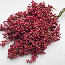 Pieprz peruwiański Nasiona drzewa pieprzowego (Schinus molle) - 2.205