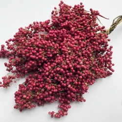 Peruanische Pfefferbaum (Schinus molle) 1.85 - 1