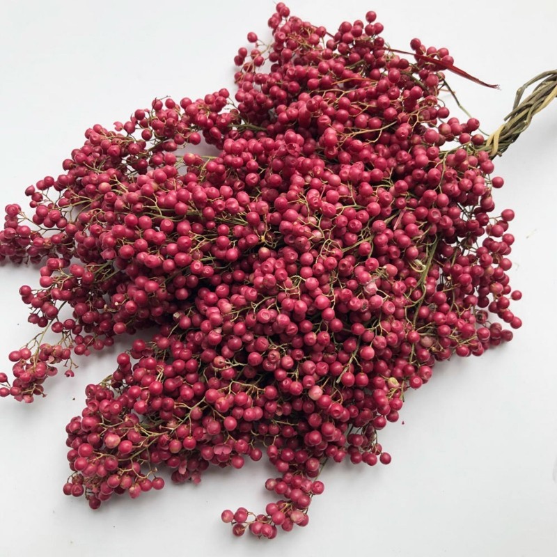 Details about  / Schinus Molle 20 seeds Seeds False Pepper Pink Pepper