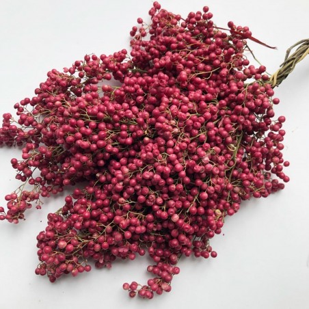 Price: €2.45 - Drvo bibera Seme (Schinus molle) -