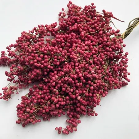 Semillas de Arbol De La Pimienta (Schinus molle)