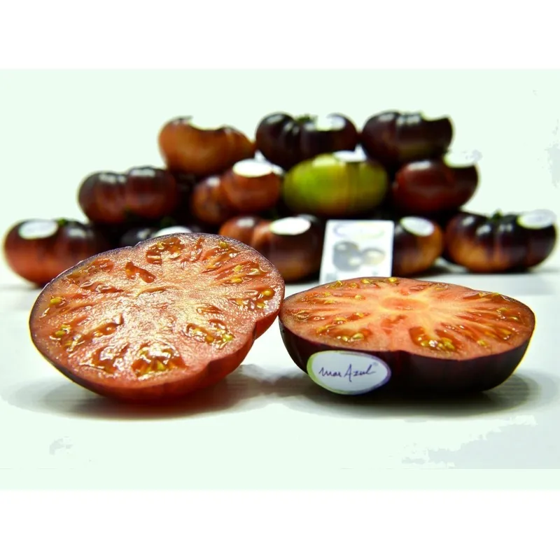 Mar Azul tomato seeds
