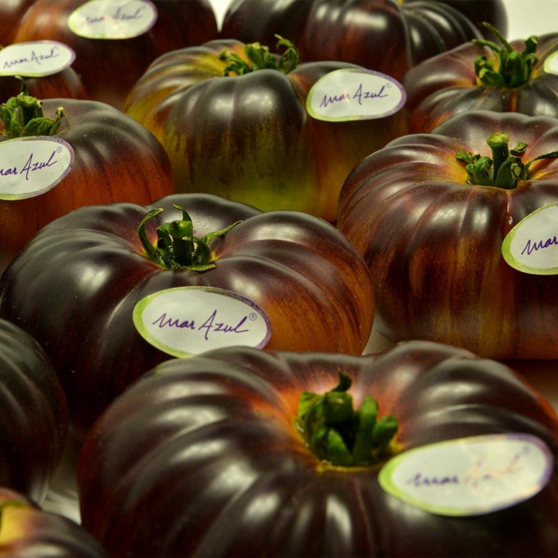 Semillas de tomate Mar Azul