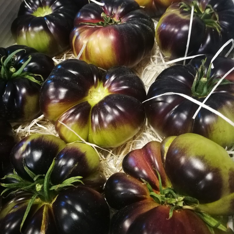 Semillas de tomate Mar Azul