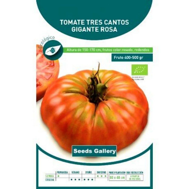 Price: €1.95 - Tres Cantos Beefsteak Tomato Seeds - Seeds Gallery
