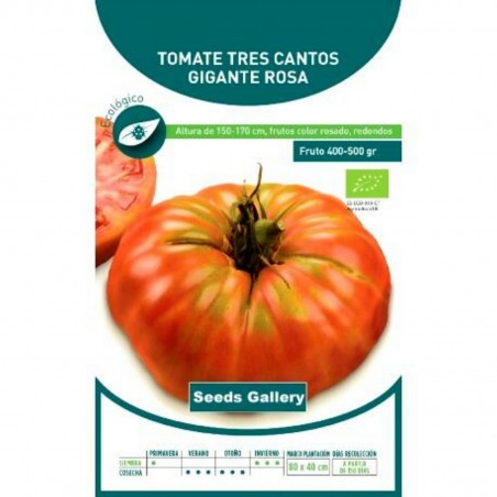 Price: €1.95 - Tres Cantos Beefsteak Tomato Seeds - Seeds Gallery
