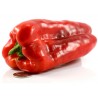 Price: €1.8 - Graines Largo de Reus poivron doux - Seeds Gallery