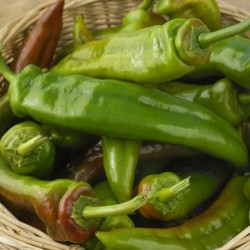 Price: €1.75 - Italienische Riesen Lange Paprika Samen - Seeds Gallery