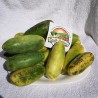 Sementes de Maracujá Banana (Passiflora mollissima)