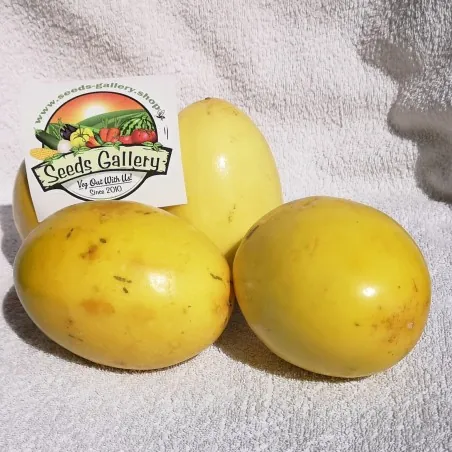 Semillas de Maracuyá Gigante Amarilla (Passiflora flavicarpa)