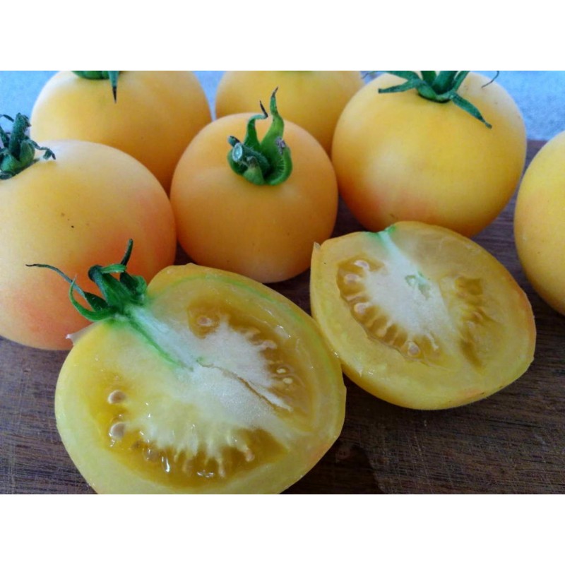 Price: €1.65 - Semillas de tomate Durazno - Seeds Gallery