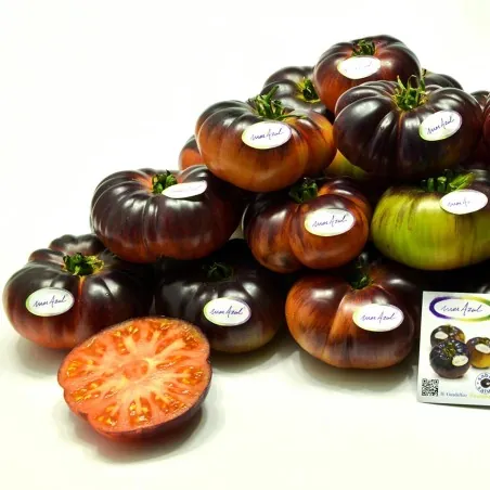 Mar Azul tomato seeds