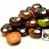 Sementes de tomate Mar Azul | 2,45 €
