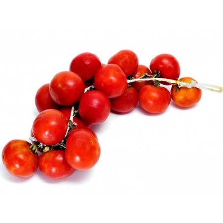 Spanska hängande tomatfrön | 1,75 €