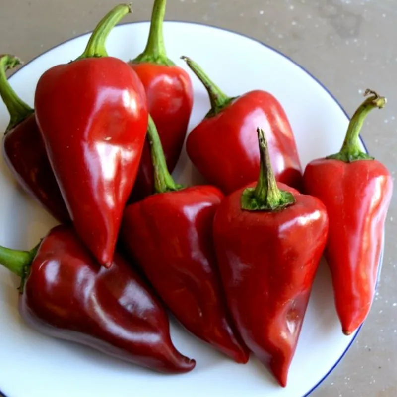 Semi di peperone Piquillo
