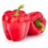 Price: €1.65 - Maor Paprikasamen - 