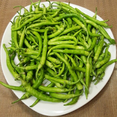 Price: €1.75 - Guindilla De Ibarra πράσινο τσίλι πιπεριές σπόροι - Seeds Gallery