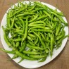 Price: €1.75 - Seme zelenog čilija Guindilla de Ibarra - Seeds Gallery