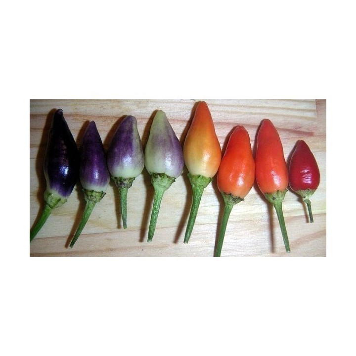 Chili Numex Centennial Seeds - 175.934363