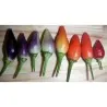 Chili Numex Centennial Samen