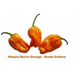 Graines de Numex Suave Orange Piments