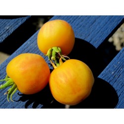 Garden Peach Tomato Seeds