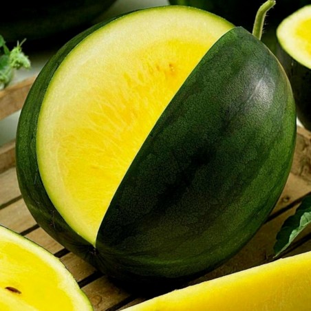 Price: €2.15 - Semillas de sandia amarilla JANOSIK - Seeds Gallery