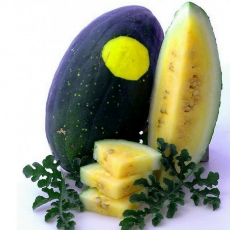 Price: €10 - 100 Graines Pastèque jaune Lune-Etoile - Seeds Gallery