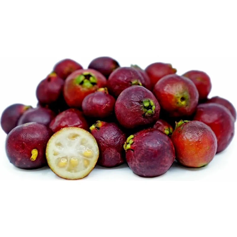Sementes de Araçá-rosa (Psidium cattleianum)