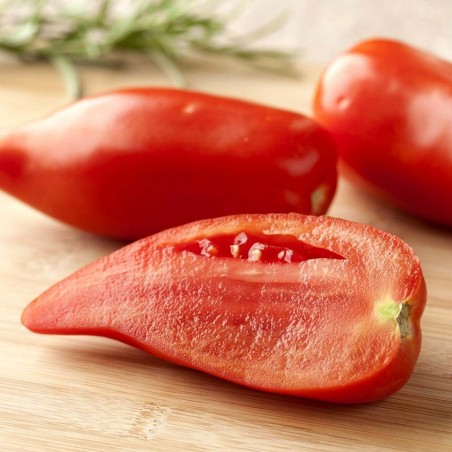 Price: €1.95 - Andine Cornue tomat frön - Seeds Gallery