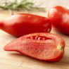 Price: €1.95 - Andine Cornue tomat frön - Seeds Gallery
