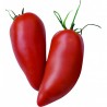 Price: €1.95 - Andine Cornue tomat frön - Seeds Gallery