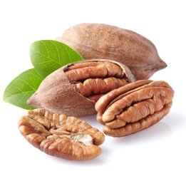 Pecan Seeds (Carya illinoinensis) - 4.455