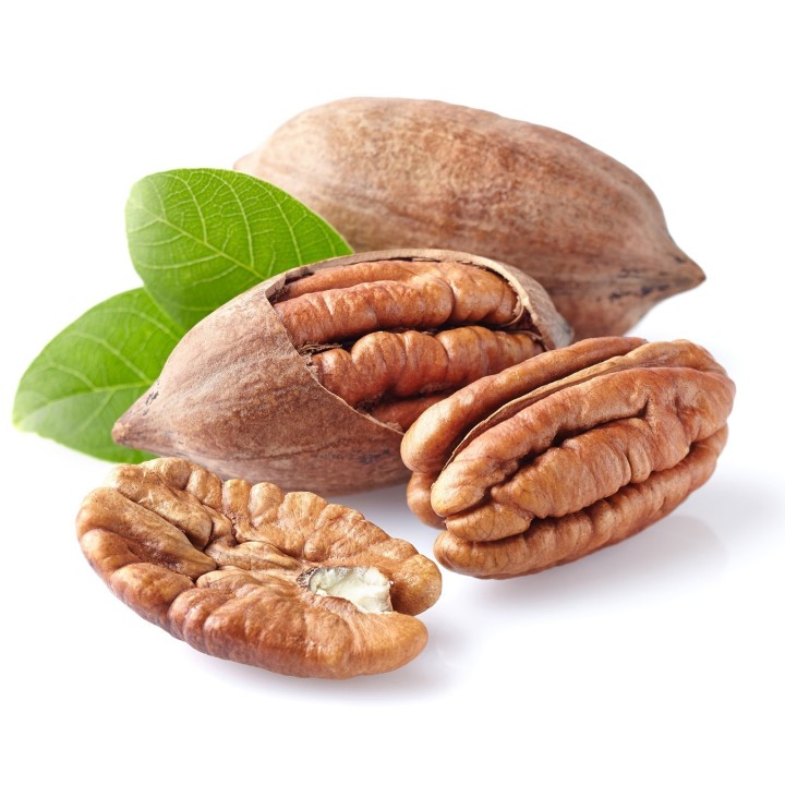 Pecan Seeds (Carya illinoinensis) - 4.455