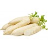 Price: €2.45 - Giant white radish seeds Ice Candle - 