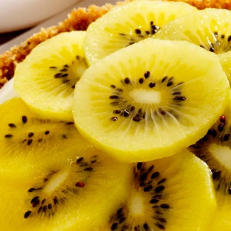 Kiwi Jenny Samen Selbstfruchtend Winterhart