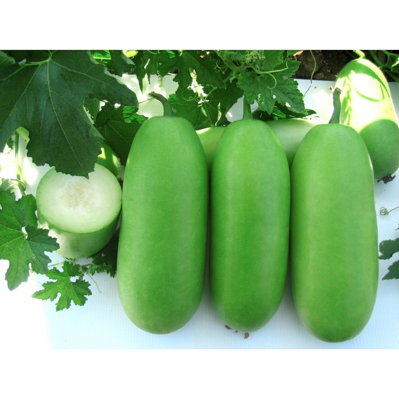Price: €2.25 - Semi di zucca cera (Benincasa hispida) - 