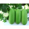 Price: €2.25 - Semi di zucca cera (Benincasa hispida) - 