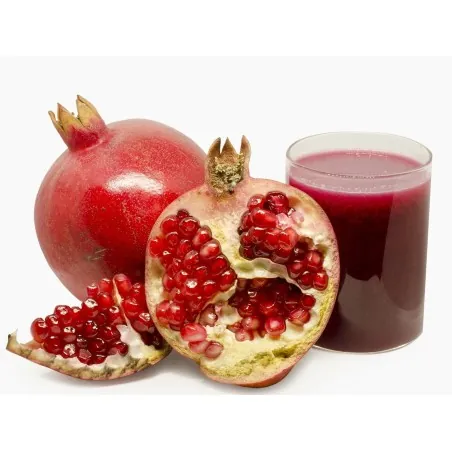 Graines de Grenadier (Punica granatum)
