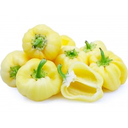 Price: €1.55 - DIAMOND söt paprika frön (vit) - 